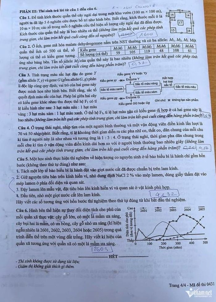 Đề thi môn Sinh học tốt nghiệp THPT 2026 mã đề 0431.