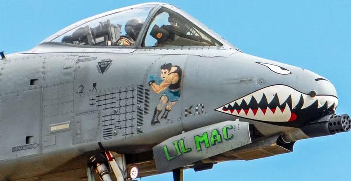 Các dấu hiệu nhiệm vụ khác cho thấy A-10 đã sử dụng nhiều loại vũ khí trong chiến dịch, bao gồm bom dẫn đường đường kính nhỏ GBU-39 SDB, bom dẫn đường bằng laser GBU-12 Paveway II, tên lửa dẫn đường bằng laser APKWS, tên lửa không đối đất AGM-65 Maverick, thiết bị nghi binh trên không cỡ nhỏ MALD và bom dẫn đường vệ tinh JDAM.