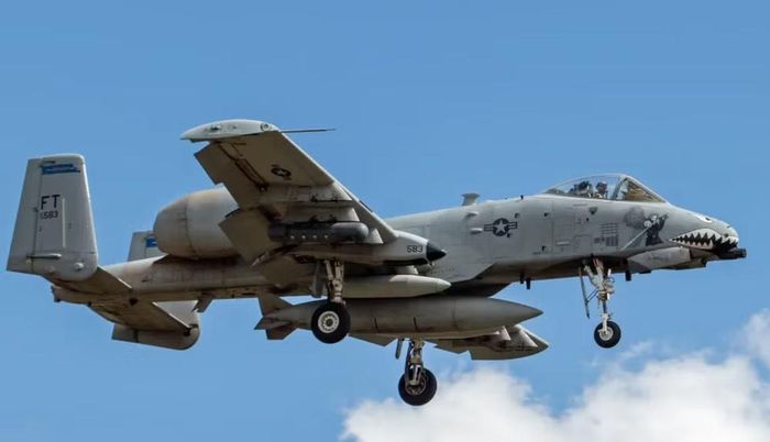 Biểu tượng khẩu pháo tự động GAU-8/A Avenger cỡ nòng 30 mm, loại vũ khí nổi tiếng gắn liền với A-10, cũng xuất hiện trên nhiều máy bay.