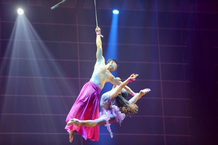 “Mơ show” là dự án do UBND TPHCM chỉ đạo, Sở Văn hóa và Thể thao TPHCM đầu tư, Trung tâm Nghệ thuật Thành phố thực hiện, với sự tham gia của gần 150 nghệ sĩ, diễn viên đến từ nhiều đơn vị nghệ thuật.