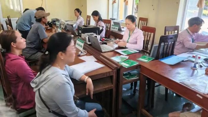 Điểm giao dịch thuộc Ngân hàng Chính sách xã hội Lý Sơn tích cực giải ngân , tạo điều kiện để người dân vay vốn thuận lợi.