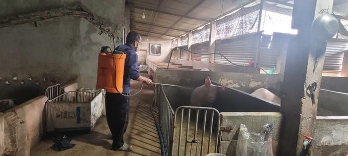 Công tác vệ sinh, khử trùng được thực hiện thường xuyên