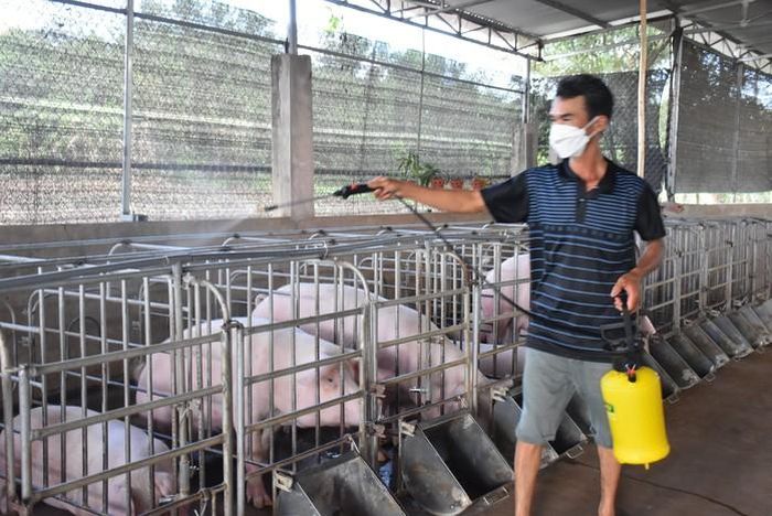 Hệ thống chuồng trại hiện đại góp phần bảo vệ đàn vật nuôi trước nguy cơ dịch bệnh.