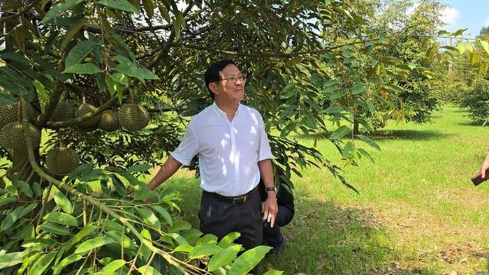 Đại diện nhà vườn giới thiệu vườn Black Thorn