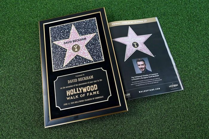David Beckham được trao ngôi sao trên Đại lộ Danh vọng Hollywood không chỉ vì thành tích bóng đá, mà vì tầm ảnh hưởng toàn cầu vượt xa khuôn khổ thể thao. Theo Hollywood Walk of Fame và Hollywood Chamber of Commerce, những người được vinh danh phải có đóng góp nổi bật trong lĩnh vực giải trí hoặc văn hóa đại chúng, đồng thời tạo ra ảnh hưởng lâu dài. Ảnh: Shutterstock.