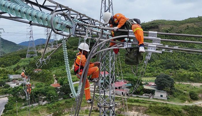 Trước mùa nắng nóng năm nay, PTC2 đã củng cố, sửa chữa lưới điện để đảm bảo vận hành an toàn, liên tục, ổn định mùa nắng nóng