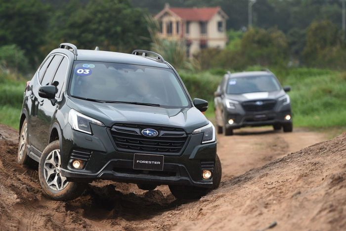 Nhiều người lầm tưởng cứ xe gầm cao, SUV hay xe dẫn động 4 bánh là có thể “trèo đèo lội suối”. Ảnh: Subaru