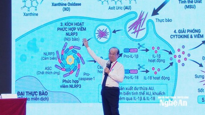 Các chuyên gia chia sẻ những tiến bộ mới nhất trong lĩnh vực Cơ xương khớp. Ảnh TL