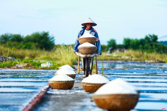 Những hạt muối trắng tinh là công sức, mồ hôi của những diêm dân chịu thương, chịu khó.