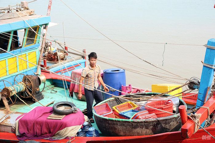 Qua rà soát, toàn tỉnh có 326 tàu cá phải thực hiện cài đặt, sử dụng nhật ký khai thác thủy sản điện tử.