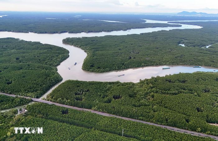 Cần Giờ chuyển mình thành mô hình năng lượng tái tạo hướng tới Net Zero. (Ảnh: Hồng Đạt/TTXVN)