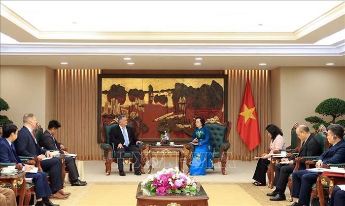 Phó Thủ tướng Phạm Thị Thanh Trà tiếp đại diện Đại học Công nghệ Texas (Hoa Kỳ). Ảnh: Tuấn Anh/TTXVN