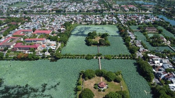 Hồ Tịnh Tâm bắt đầu bước vào mùa sen nở rộ.