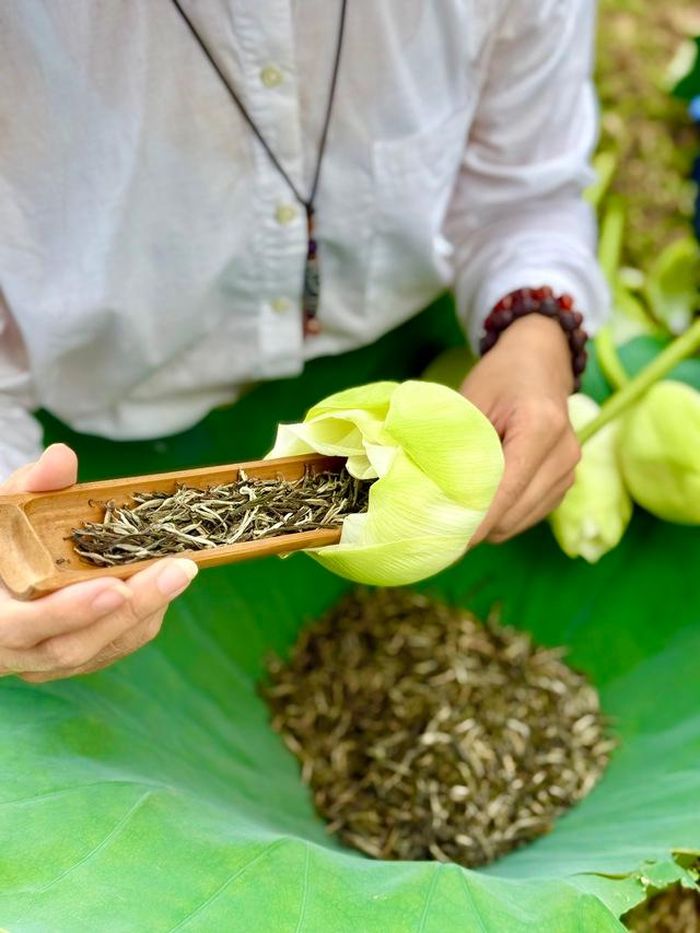 Sen trắng Huế còn được xem là nguyên liệu lý tưởng để tạo nên những mẻ trà sen chất lượng cao.