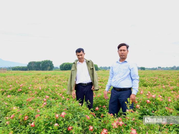 Đây là hướng đi được kỳ vọng giúp người dân xóa đói, giảm nghèo bền vững.