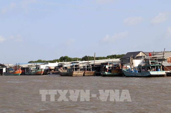 Khai thác biển là thế mạnh của Cà Mau. Ảnh: Trung Hiếu - TTXVN