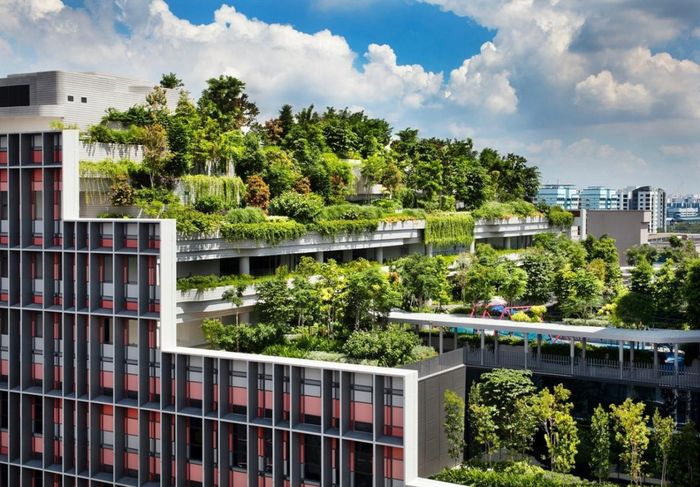 Thiết kế tích hợp đa thế hệ tại Kampung Admiralty, Singapore