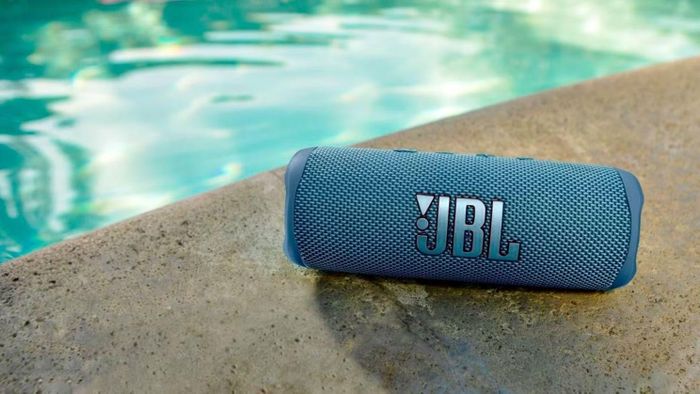 JBL Flip 6