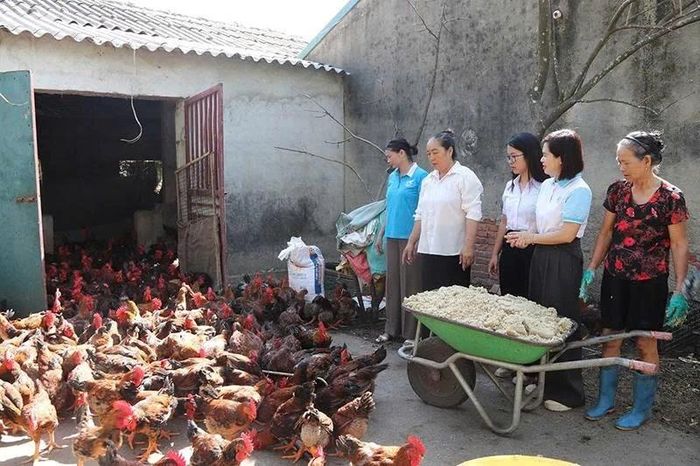 Lãnh đạo Hội LHPN xã Nga Sơn thăm, kiểm tra sử dụng vốn vay phát triển kinh tế của hội viên Mai Thị Luyện, thôn Trung, nuôi gà lai Đông Tảo.