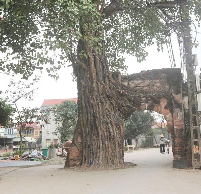Cổng làng Văn Trung (xã Tân Chi) lưu giữ nét xưa.