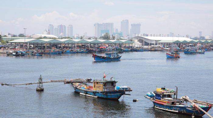 Khu vực Thọ Quang được định hướng hiện đại hóa dịch vụ hậu cần nghề cá và giảm áp lực môi trường. Ảnh: Một góc âu thuyền cảng cá Thọ Quang. Ảnh: ĐẮC MẠNH