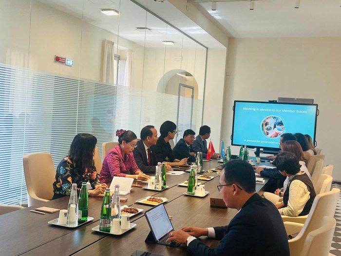 Toàn cảnh buổi làm việc giữa Đoàn công tác thành phố Đà Nẵng và Đại diện ICCROM. Ảnh: ĐOÀN CÔNG TÁC