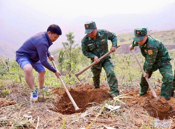 Năm 2026, xã Mường Pồn phấn đấu trồng mới 80ha cà phê, mắc ca. Trong ảnh: Cán bộ và lực lượng vũ trang hỗ trợ người dân đào hố trồng cà phê, mắc ca.