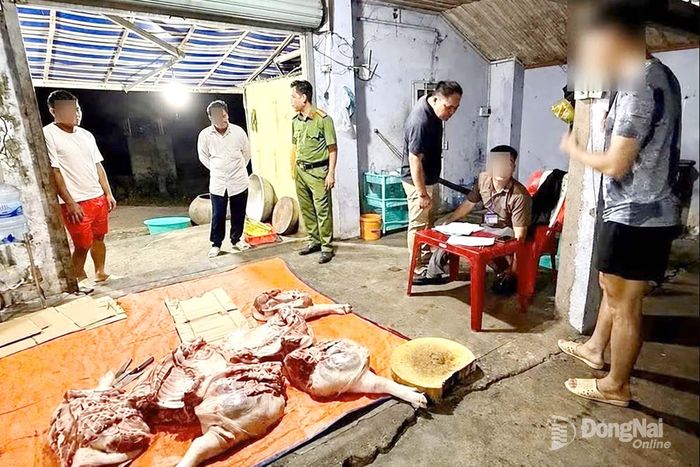 Công an xã Đại Phước kiểm tra một cơ sở giết mổ gia súc. Ảnh: C.T.V