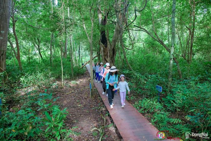 Khách du lịch trải nghiệm, khám phá rừng tại Vườn quốc gia Cát Tiên.