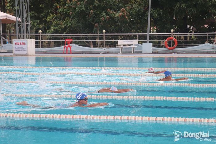 Các vận động viên bơi lội chuyên nghiệp biểu diễn kỹ năng bơi tại hồ bơi Sông Phố (thuộc Trung tâm Huấn luyện và thi đấu thể thao thành phố). Ảnh: Hải Yến