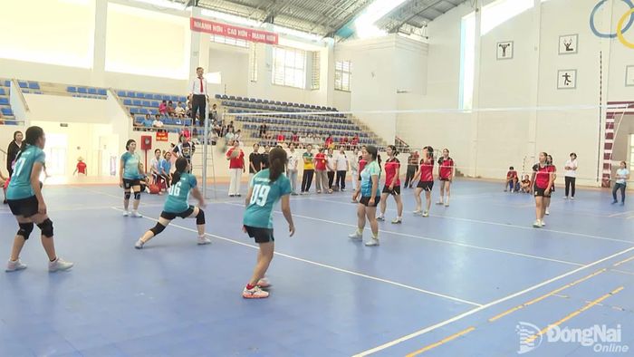 Các vận động viên thi đấu môn bóng chuyền. Ảnh: Đỗ Trình