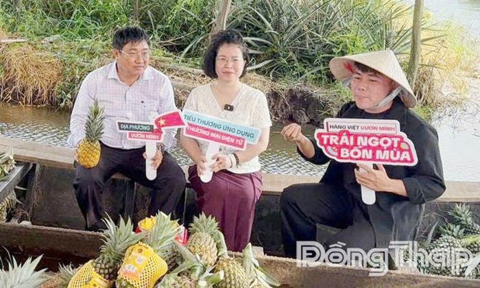 Sở Công thương phối hợp với Cục Thương mại điện tử và Kinh tế số và nền tảng TikTok Shop tổ chức phiên livestream quảng bá và tiêu thụ khóm tại xã Hưng Thạnh. ảnh: M.THÀNH