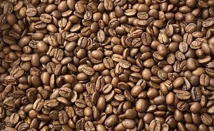 Tại Gia Lai và Đắk Lắk, giá cà phê hôm nay cùng đạt 87.500 đồng/kg. Ảnh: M.T