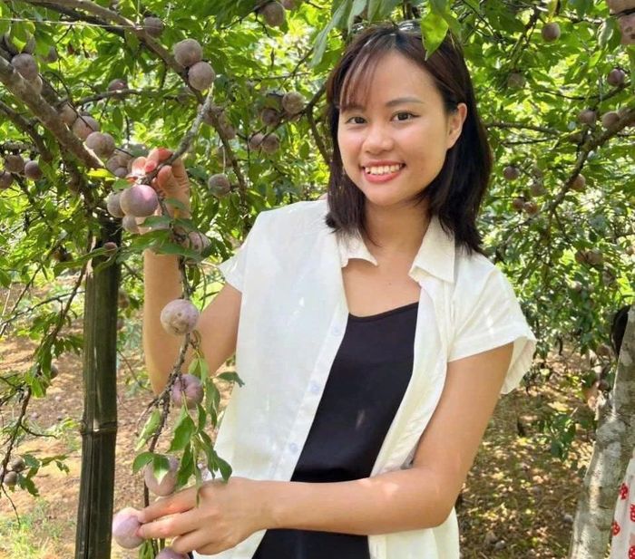 Du khách tham quan vườn mận tại nông trại 4 mùa.