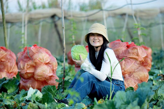 Du khách tham gia thu hoạch nông sản địa phương