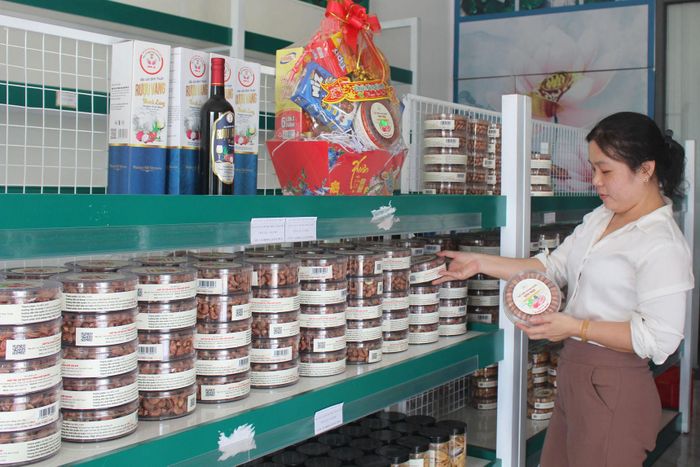 Sản phẩm Hạt điều rang muối OCOP 3 sao của HTX DVTH Sen Núi mở rộng thị trường tiêu thụ trong và ngoài tỉnh