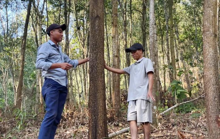 Anh Hồ Văn Tang (bên trái) chia sẻ kinh nghiệm trồng tràm với người dân trên địa bàn thôn Xi Pa - Ảnh: K.S