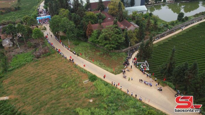 Đồi chè bản Kiến Xương, xã Bình Thuận. Ảnh: PV