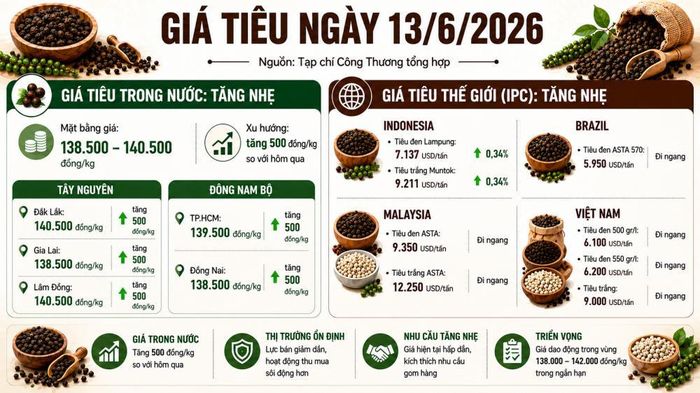 Lưu ý: Các giá trên chỉ mang tính chất tham khảo, mức giá thực tế sẽ có sự chênh lệch theo từng địa phương, phương thức vận chuyển, phương thức thanh toán, khối lượng giao dịch… Quý độc giả vui lòng liên hệ đến các doanh nghiệp, đại lý kinh doanh hồ tiêu gần nhất để được tư vấn cụ thể.