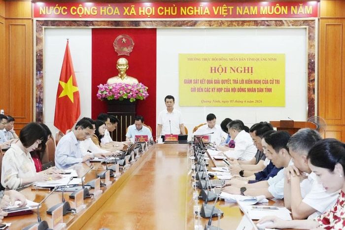 Phó Chủ tịch HĐND tỉnh Nguyễn Hồng Dương phát biểu kết luận tại hội nghị. Ảnh: Trúc Linh