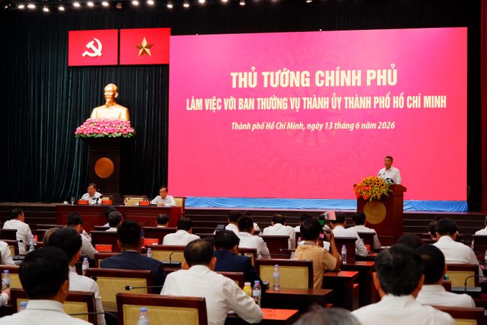 Quang cảnh cuộc làm việc