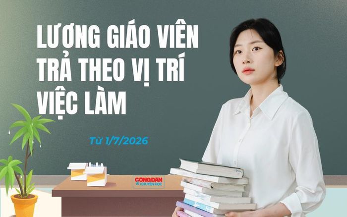 Giáo viên sẽ được trả lương theo vị trí việc làm từ 1/7/2026. Đồ họa: TTH