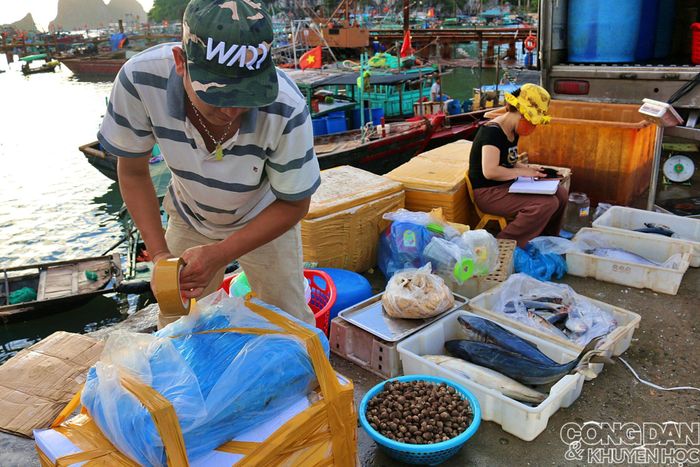Hàng tuyển từ chợ cá được đóng thùng gửi ngay từ chợ cho người mua ở xa. 