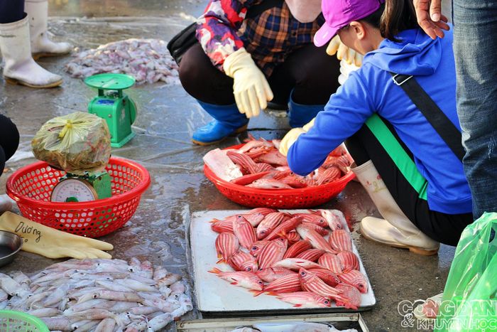 Cá phèn hồng mang đến một trong những mùi vị độc đáo nhất của biển. Ảnh: TTH