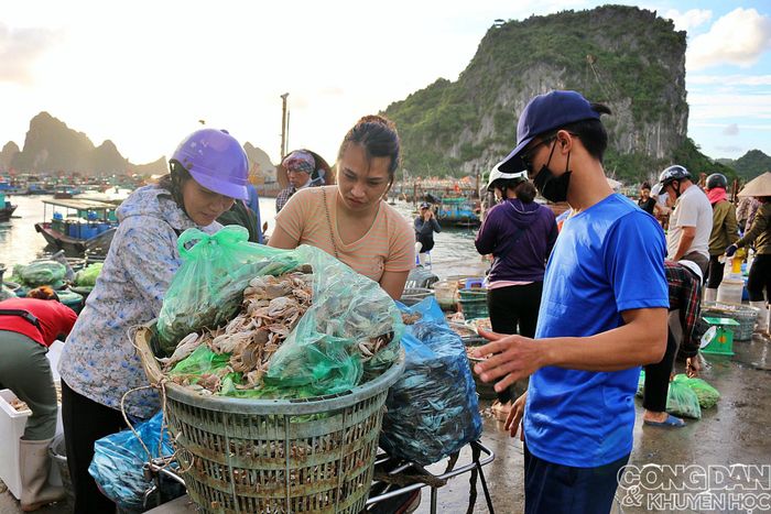 Chỉ vừa lên bờ thôi thì các mớ hải sản đã được thương lái mua ngay rồi phân phối đi các chợ dân sinh khác. Ảnh: TTH