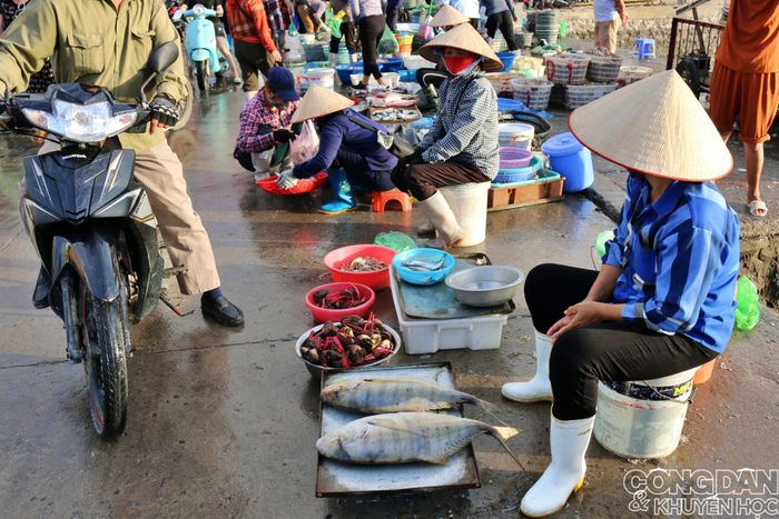Hai con cá lớn hiếm hoi của buổi chợ, và mớ cù kỳ - đặc sản Quảng Ninh đang "hot". Ảnh: TTH