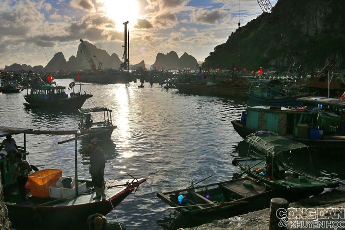 Chợ cá sát bên khu dân cư sầm uất bậc nhất - dấu tích của vùng thương cảng cổ Vân Đồn đông đúc dân cư trong lịch sử. Ảnh: TTH