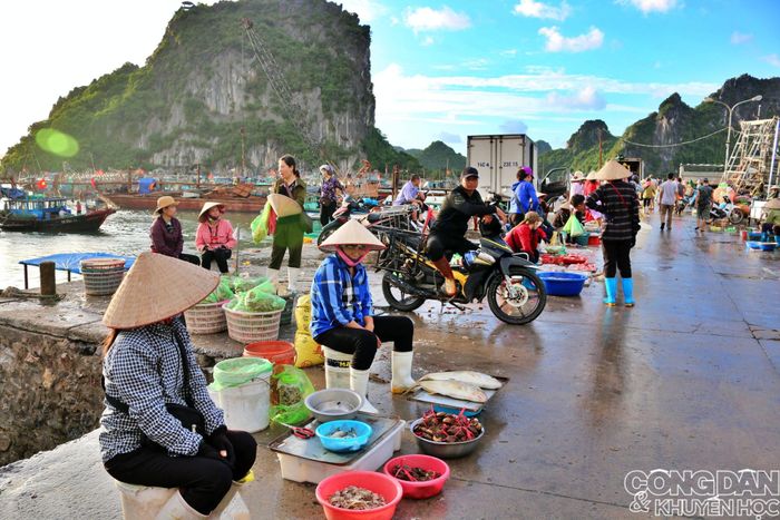 Những phụ nữ bán những mớ cá ít, nhỏ, có khi có cá độc lạ mà may mắn khách du lịch sẽ "tầm" được khi ra chợ vào lúc sáng sớm. Vào những ngày khác, con nước thủy triều không bao giờ trùng giờ và giống nhau, có khi loại cá ấy cũng khó kiếm, khó bắt. 