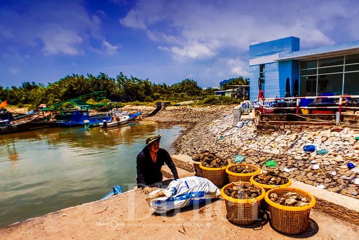 Bà con ngư dân nơi đây vất vả bên các sọt hàu đá, thúng hải sản trĩu nặng vai kết tinh nên món đặc sản Cần Giờ nức tiếng gần xa.