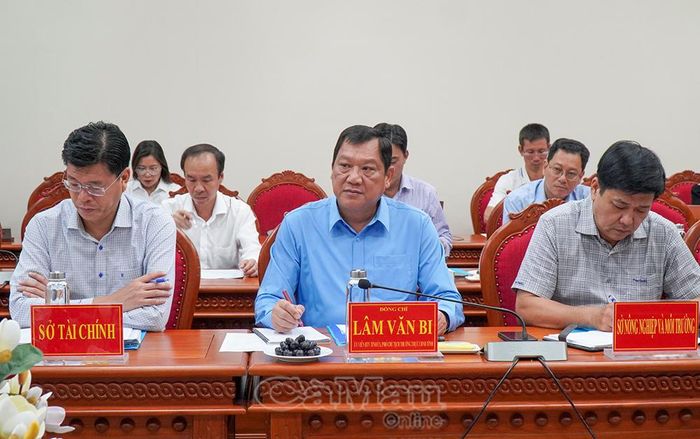  Phó Chủ tịch Thường trực UBND tỉnh Cà Mau Lâm Văn Bi phát biểu tại cuộc họp.